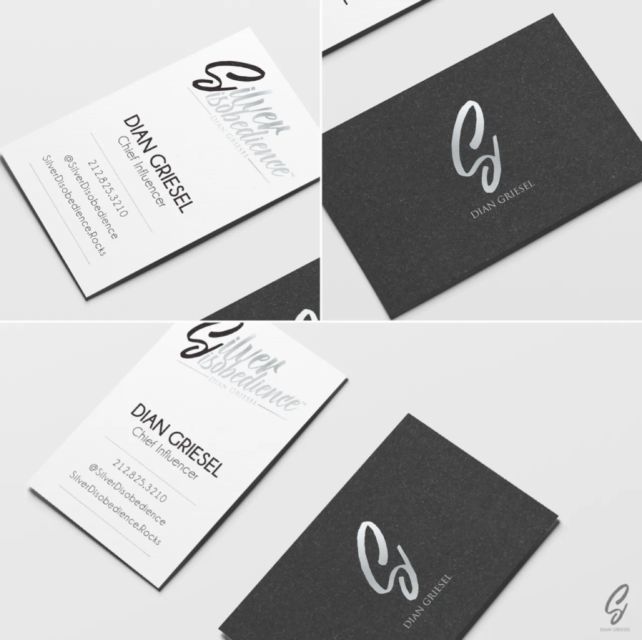 Silver Disobedience - business cards - ROIS graphic design